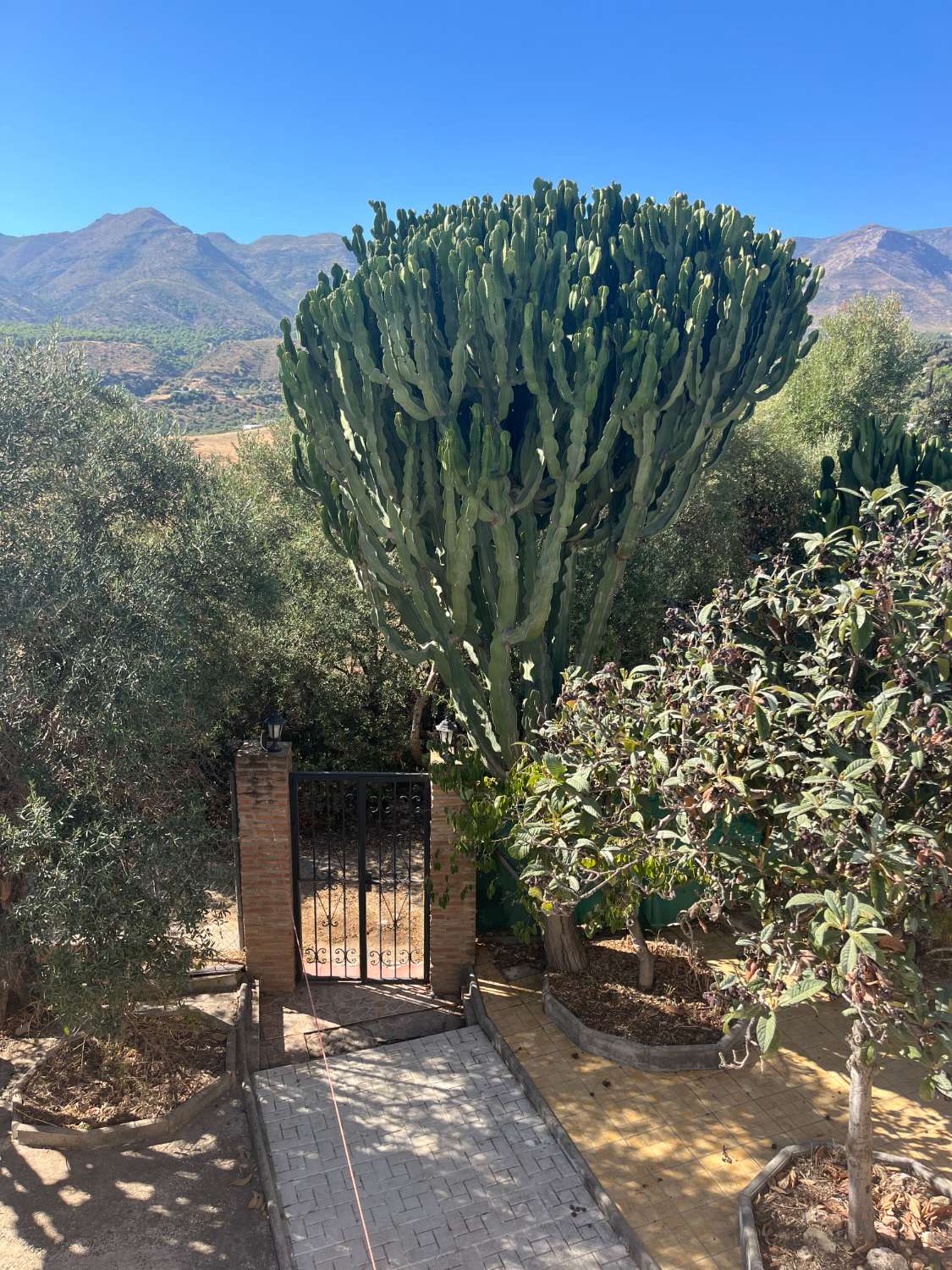 Chalet in affitto a Alhaurín de la Torre