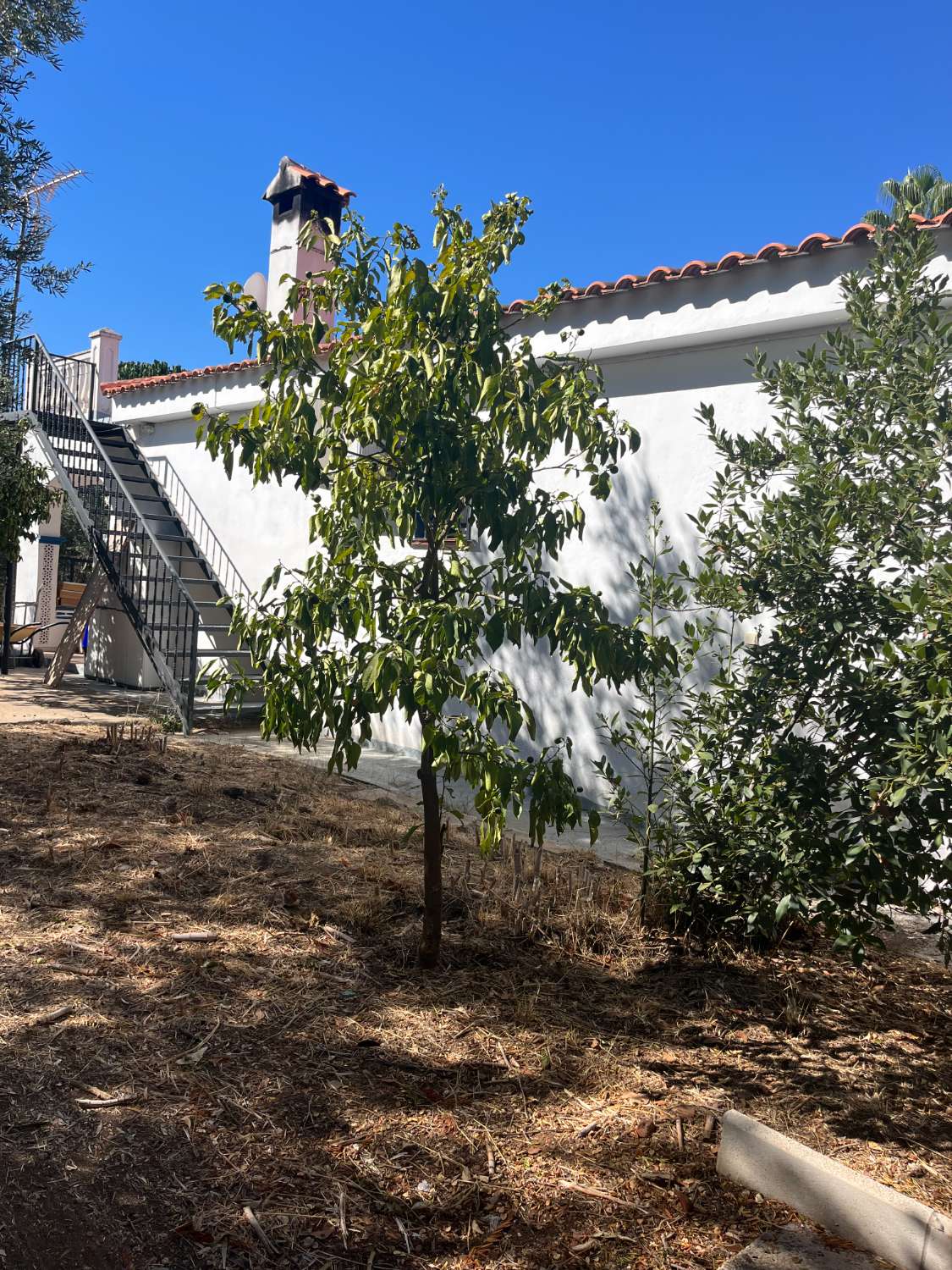 Chalet in affitto a Alhaurín de la Torre