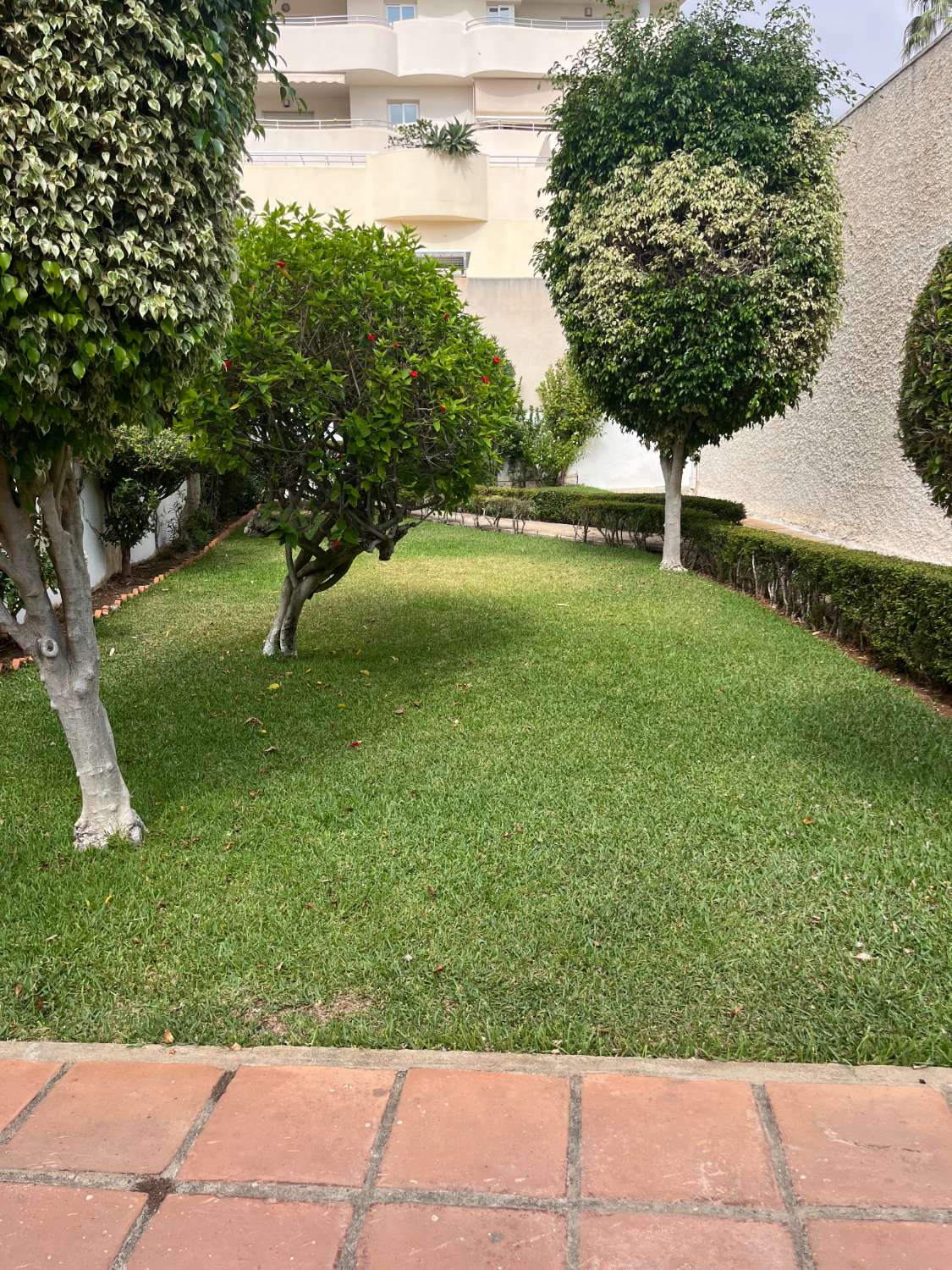 Apartamento en alquiler en Málaga