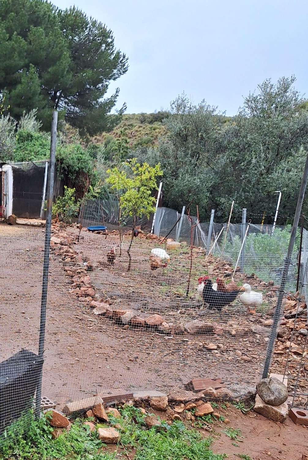 Hus uthyres i Alhaurín de la Torre