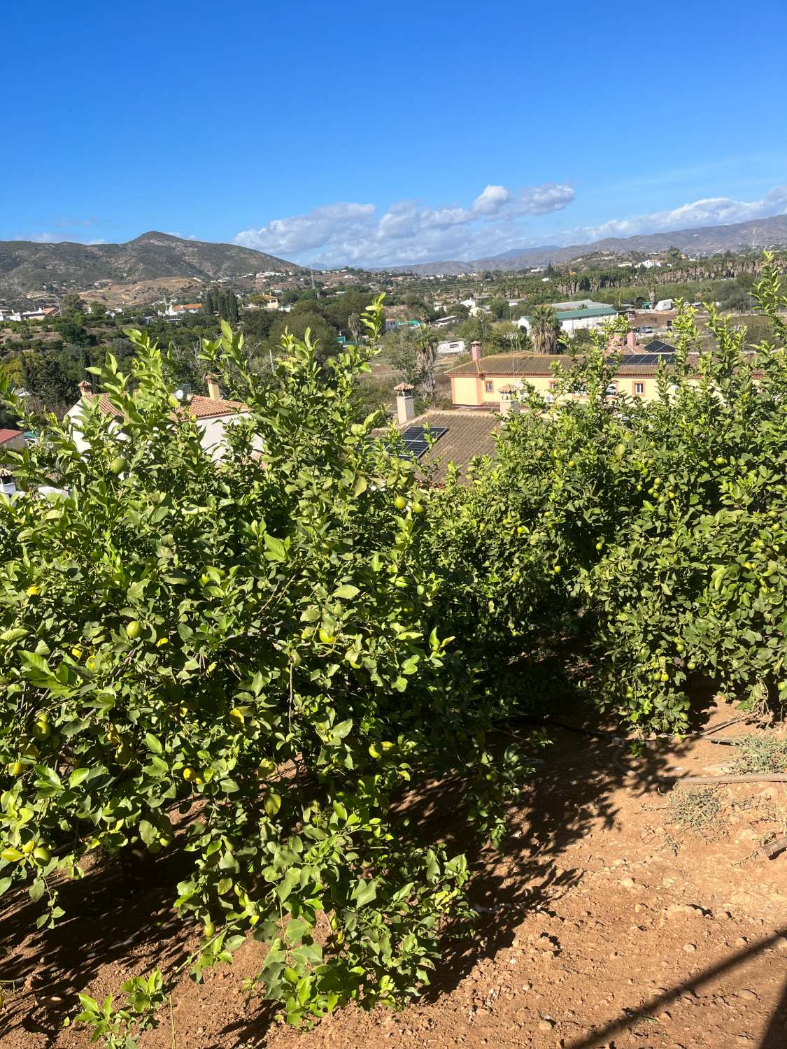 Casa en venta en Alhaurín de la Torre