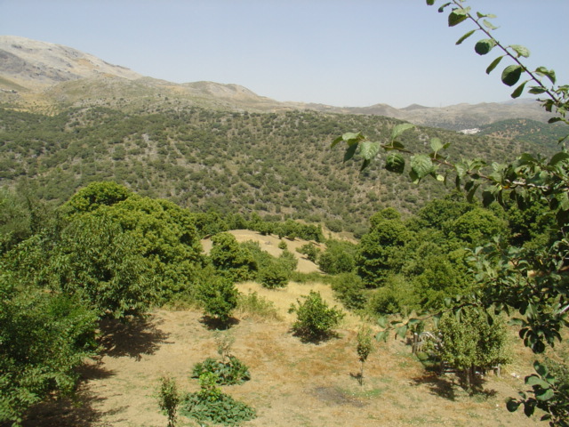 Casa en venda in Cartajima