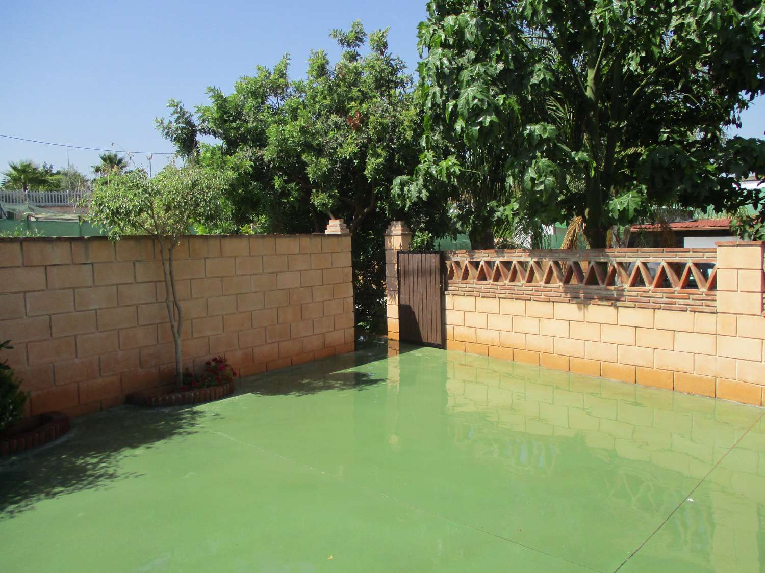 Appezzamento in affitto a Alhaurín de la Torre