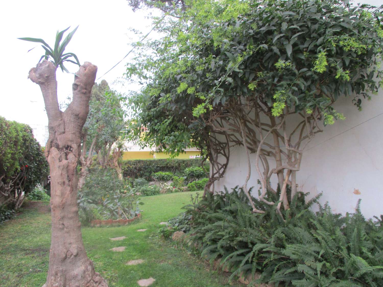 Apartment for rent in Torremolinos