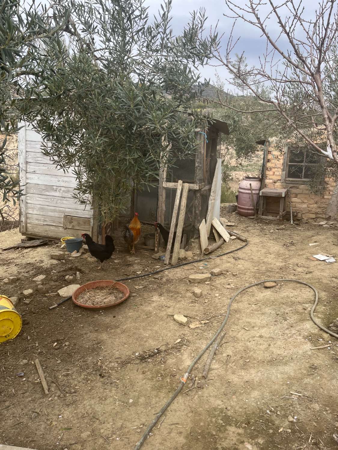 Casa en venda in Villanueva de la Concepcion