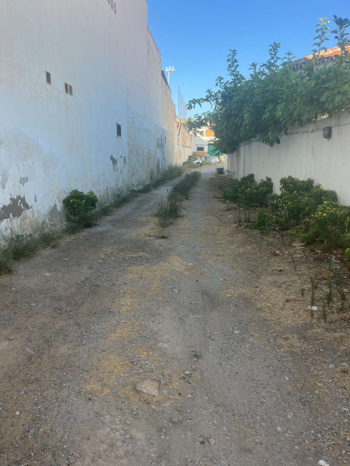 Industrial for rent in Málaga