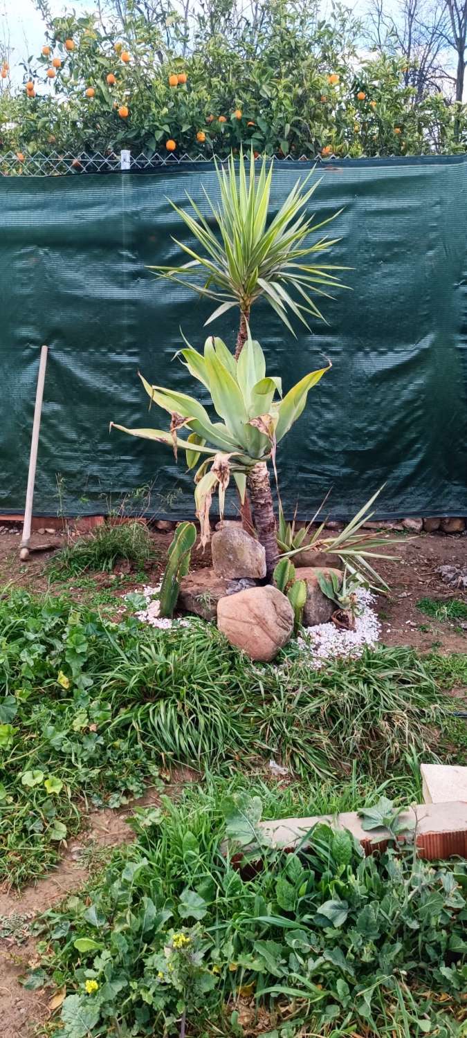 Parcela en venta en Coín