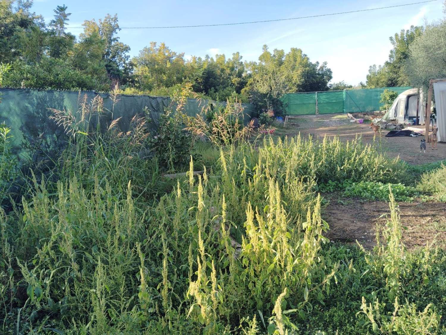 Parcela en venta en Coín