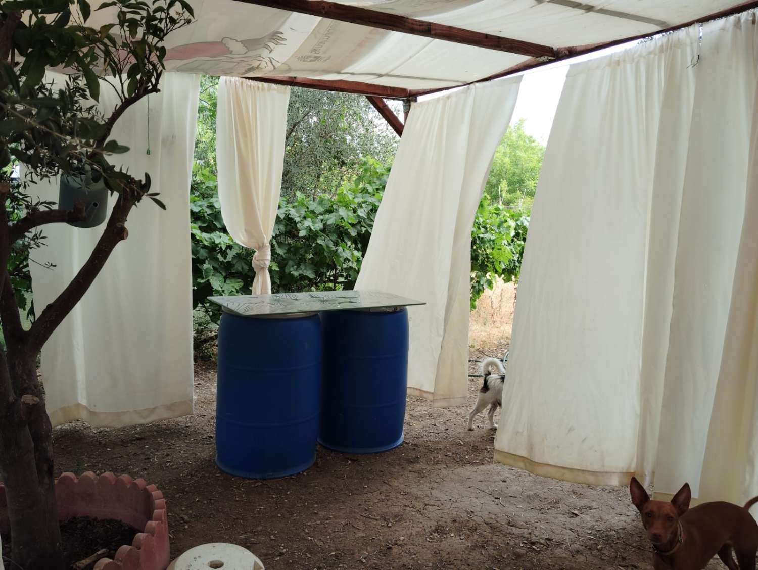 Parcela en venta en Coín