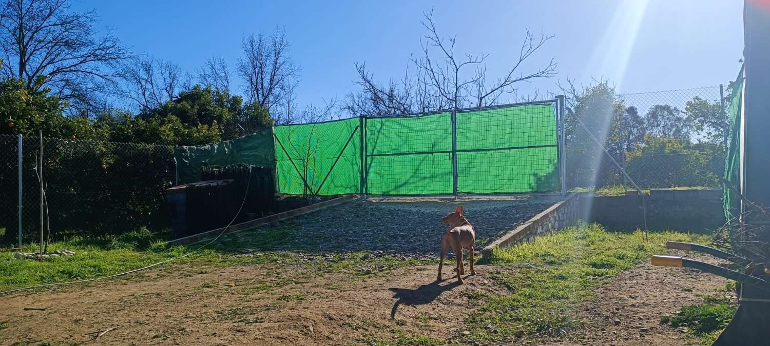 Parcela en venta en Coín
