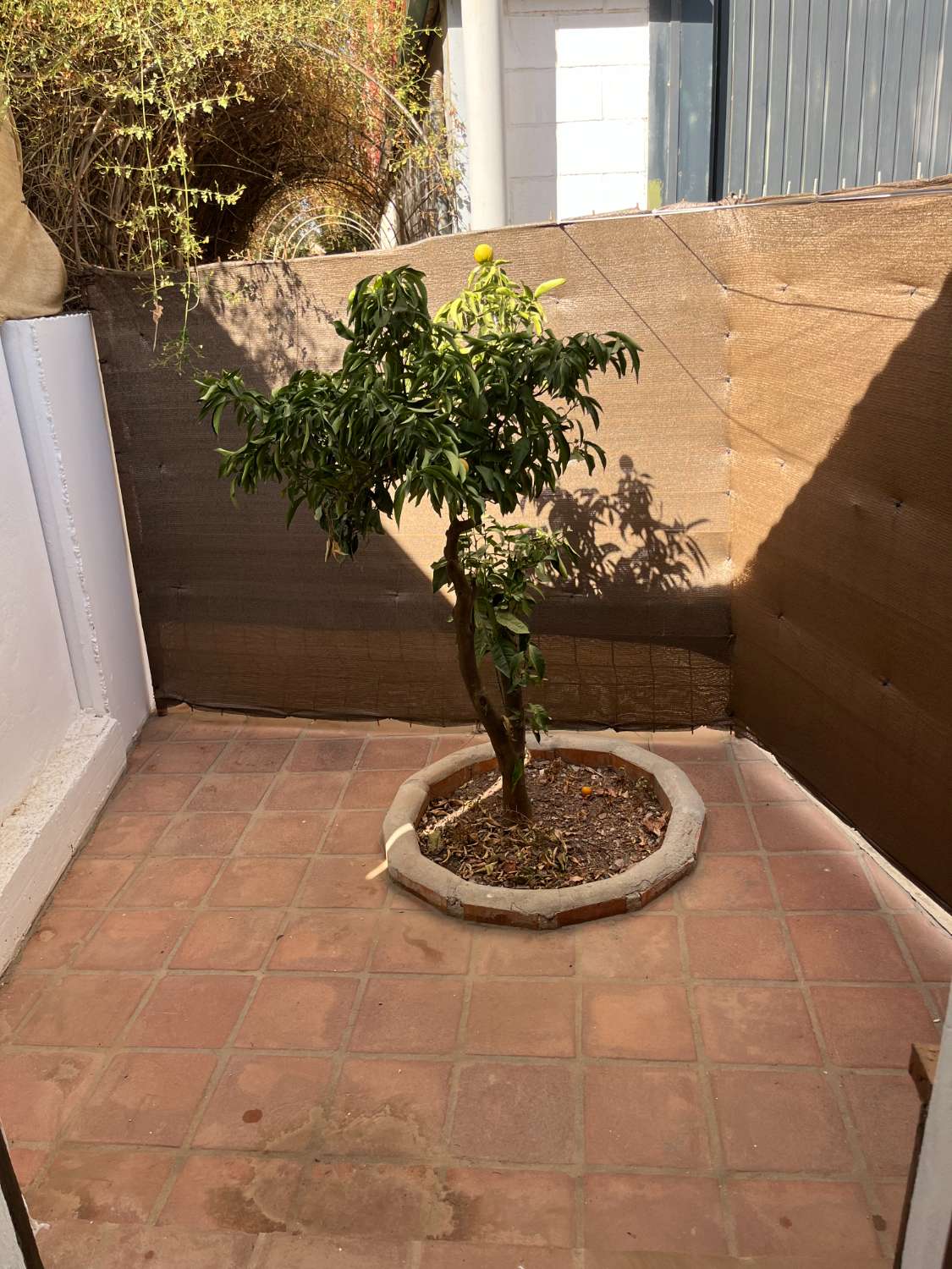 Apartment for rent in Campanillas (Málaga)