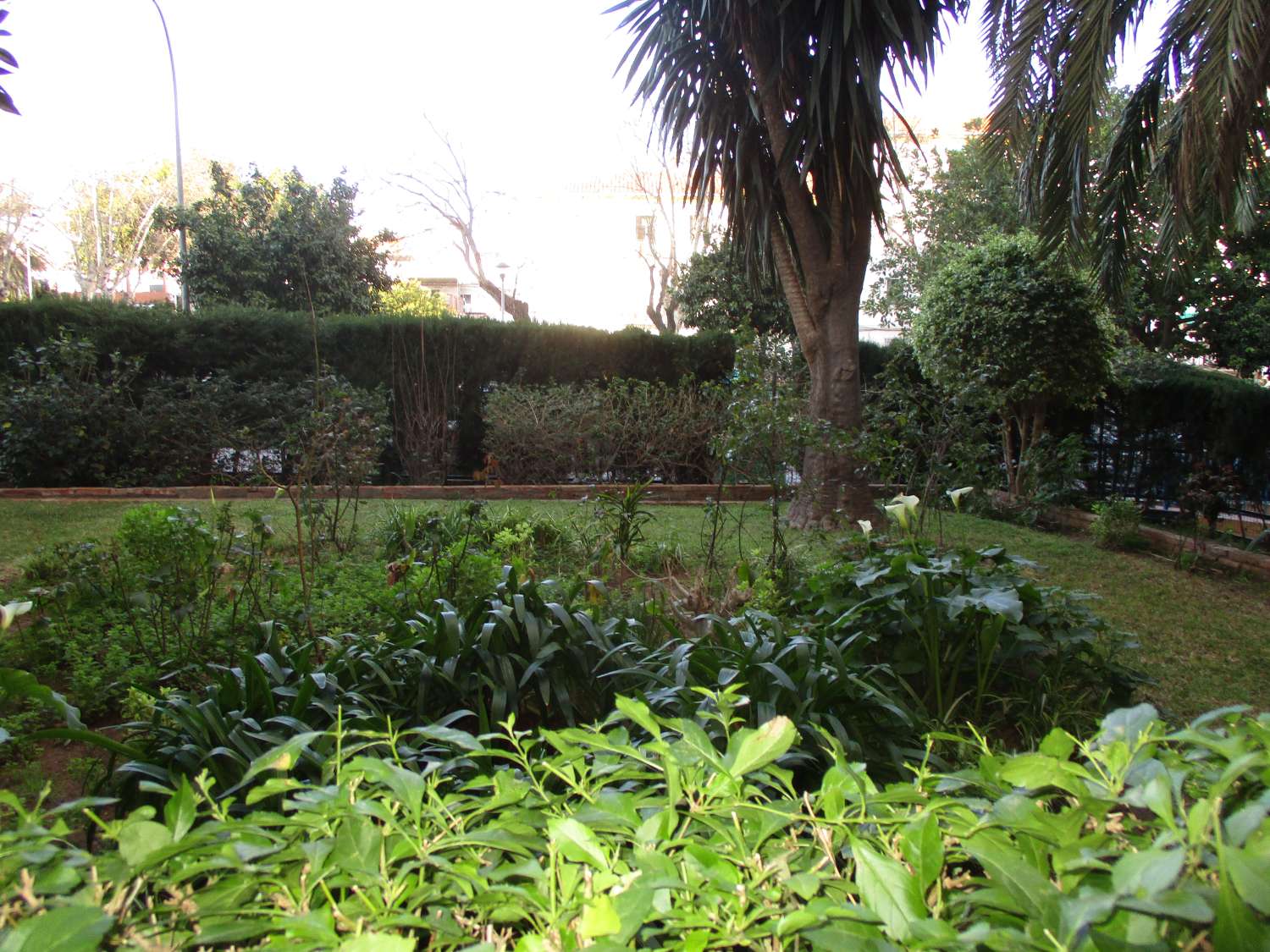 Flat for rent in Bailén - Miraflores (Málaga)