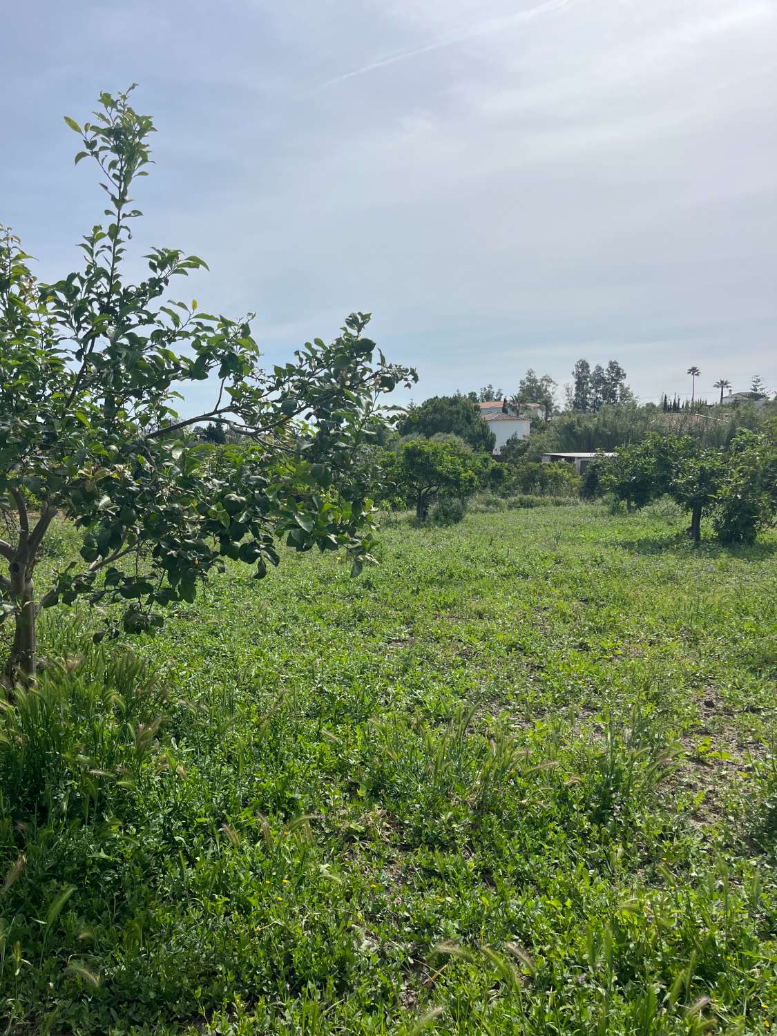 Casa en venta en Alhaurín de la Torre