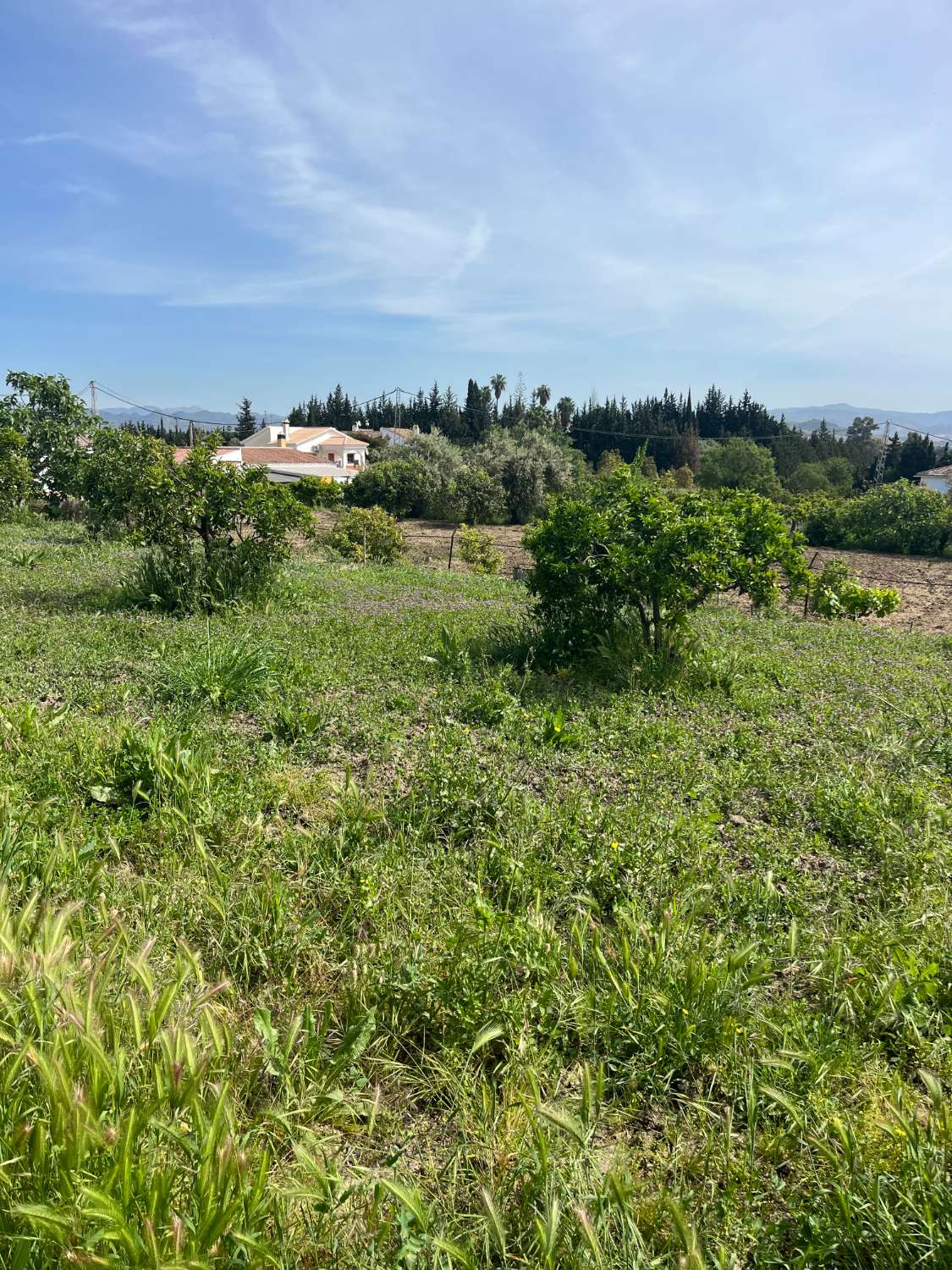 Casa en venta en Alhaurín de la Torre