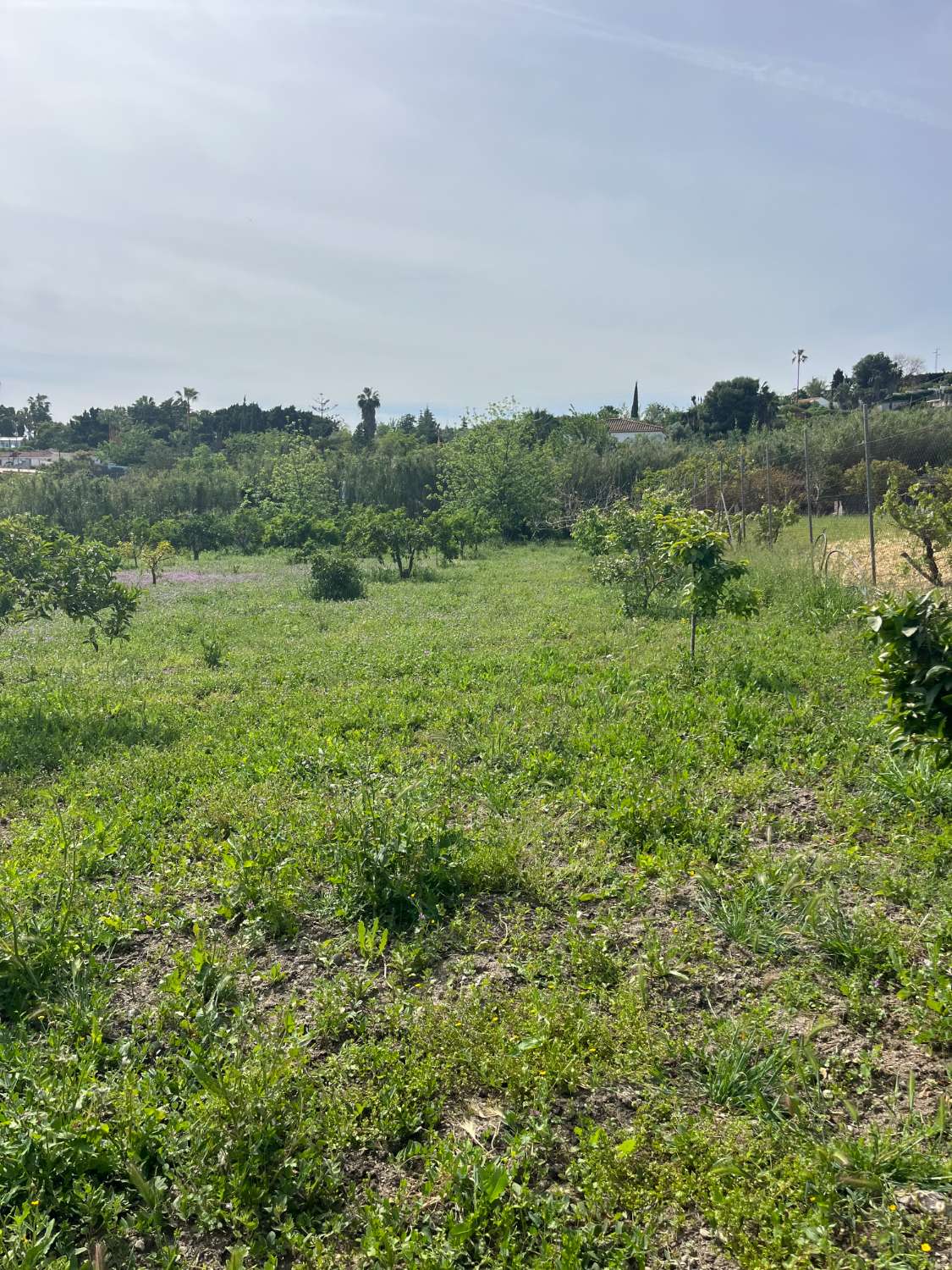 Casa en venta en Alhaurín de la Torre