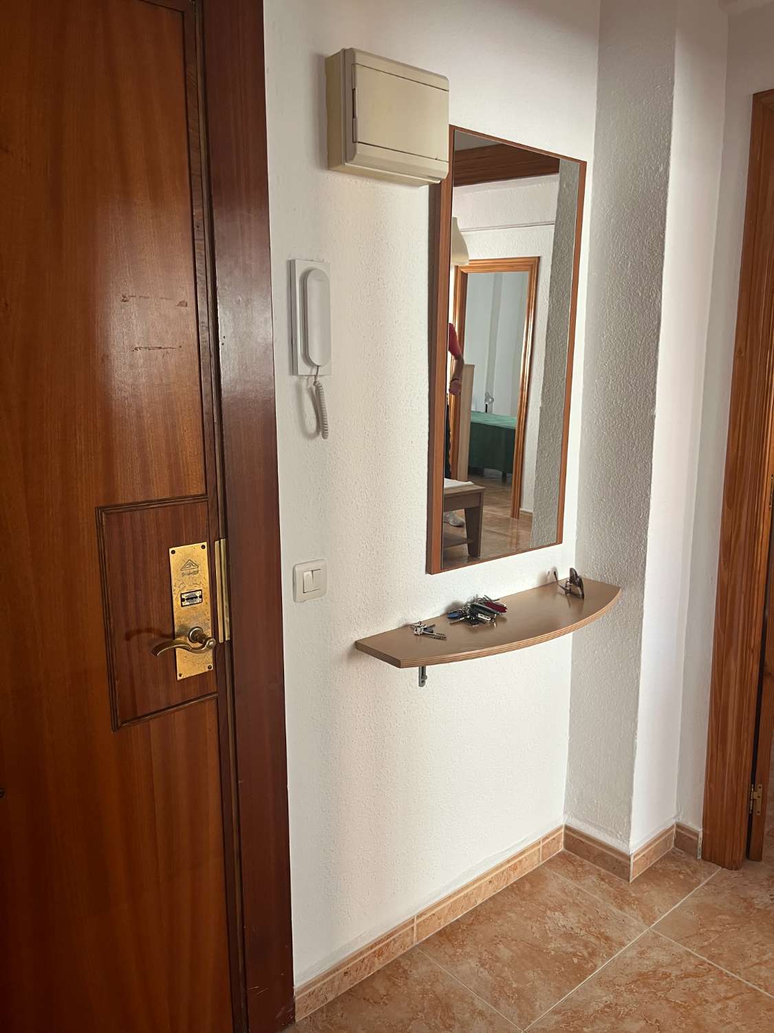 Piso en alquiler en Huelin (Málaga)