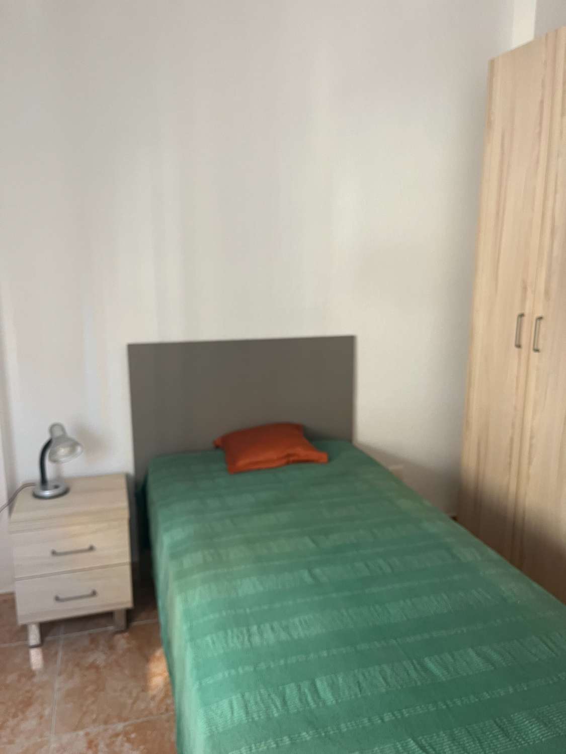 Piso en alquiler en Huelin (Málaga)